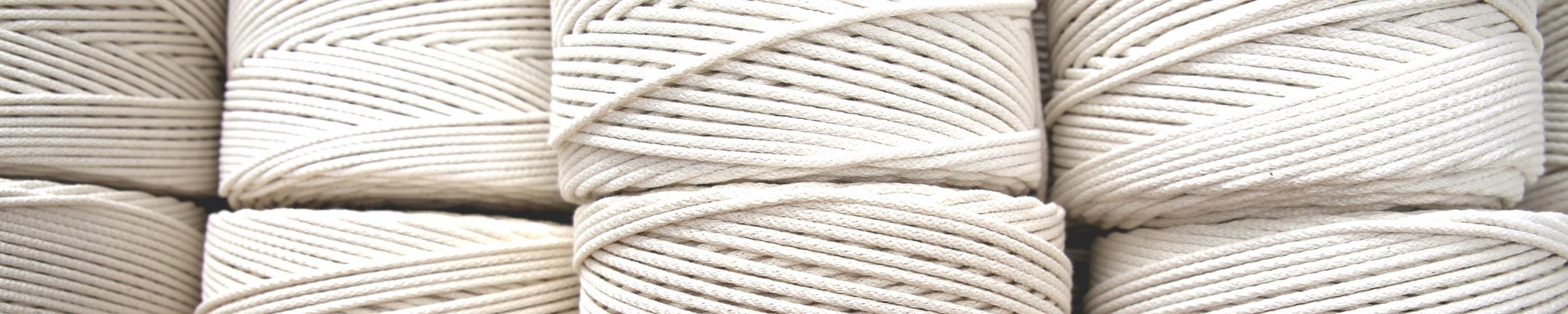 biezen en proefielen2.jpg